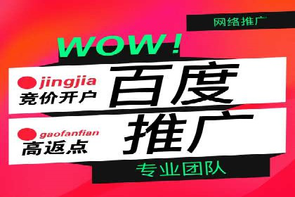 案例解析：揭秘高效竞价推广技巧